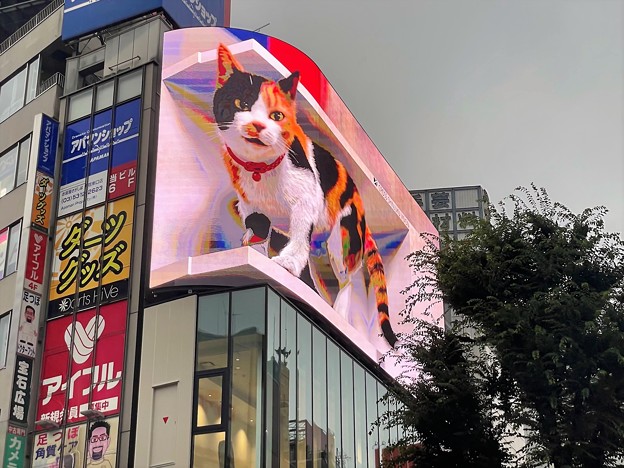 新宿東口の巨大猫