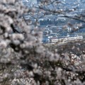 Photos: 桜咲く鹿沼富士山公園から