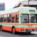 Photos: 東武バス日光軌道線色