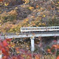 Photos: 紅葉の野岩鉄道を行くAIZUマウントエクスプレス