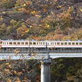 Photos: 秋色の野岩鉄道を行く東武6050型