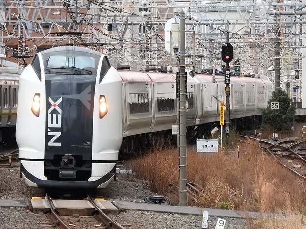 E259系特急成田エクスプレス