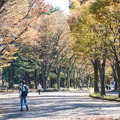 Photos: 駒沢公園