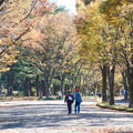 Photos: 駒沢公園