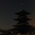 Photos: 月光の塔
