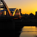 210206_51Y_夕景の橋・S1655G(多摩川) (55)