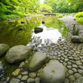 Photos: 190605_04T_庭園の様子・S1018(小石川後楽園) (29)