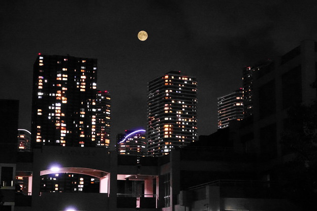 Photos: 210724_55T_満月を多重露光・RX10M3(近隣) (32)