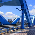 Photos: 210601_14M_丸子橋・RX10M3(多摩川) (18)