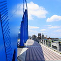 210601_14M_丸子橋・RX10M3(多摩川) (2)