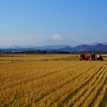 Photos: 191216_L04_富士山と田んぼ・S18200(平塚) (21)