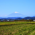 Photos: 191121_R02_富士山・RX10M3(平塚) (9)