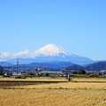 Photos: 191204_R01_富士山・RX10M3(平塚) (6)