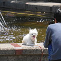 Photos: 180520_02_噴水を背景に・ワンちゃん・S18200・α60(公園) (3-1)