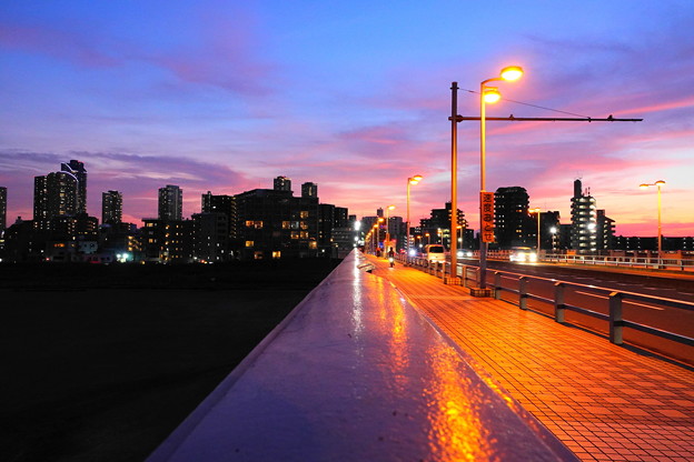 Photos: 211005_57Y_綺麗な夕景でした・RX10M3(多摩川) (10)