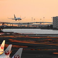 Photos: 200120_51H_展望デッキからの眺め・RX10M3(羽田空港) (503)