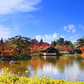 Photos: 211112_24DF_日本庭園の様子・RX10M3(昭和記念) (9)