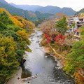 Photos: 211116_22K_御岳橋からの眺め・S1655G(御岳) (12)