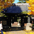 Photos: 211127_06S_お寺の銀杏・RX10M3(泉澤寺) (84-1)