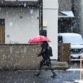 Photos: 220106_18Y_雪の中を・RX10M3(近隣) (3)