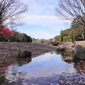 220401_22S_桜の公園・RX10M3 (36)