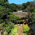Photos: 220916_02J_朝のお寺で・RX10M3(西方寺) (138)