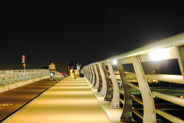 Photos: 220910_42H_橋のライトアップ・RX10M3(スカイブリッジ) (3)