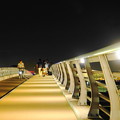 220910_42H_橋のライトアップ・RX10M3(スカイブリッジ) (3)