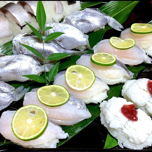 Photos: 魚寿司
