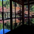 Photos: 彩りの秋