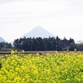 Photos: 薩摩富士