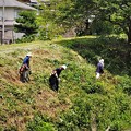 Photos: 草刈り作業（２）