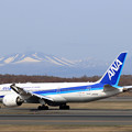 Boeing 787-8 JA835A ANAとAirJapan共用機