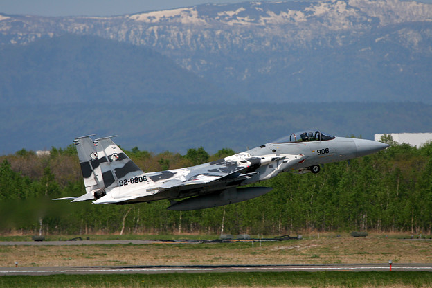 F-15J 2006年のAggressor達 8906 2006