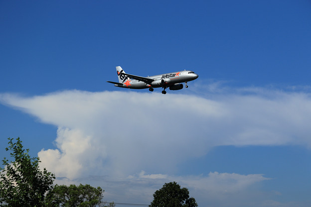 A320 Jetstar 夏の雲