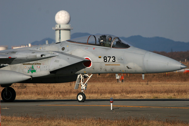 Photos: F-15J 8873 50thAnv ChitoseAFB 2007 (2)