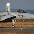 F-15J 8873 50thAnv ChitoseAFB 2007 (2)