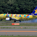Boeing 737 Skymarkのピカチュウジェット landing