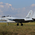 Photos: F-15DJ 8071 201sq