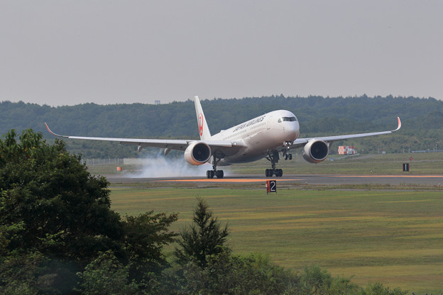 Photos: A350 JAL 朝もや上りtouchdown