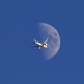 Photos: 月とANA Boeing787