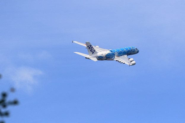 A380 ANA JA381A takeoff 3
