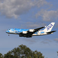 Photos: A380 ANA JA381A approach 2