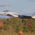 Photos: F-15J 8934 201sq landing