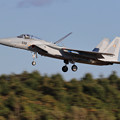 Photos: F-15J 8939 201sq landing