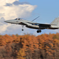 Photos: F-15J 8901 201sq Landing