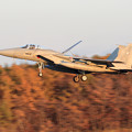 Photos: F-15J 8823 203sq Landing