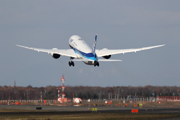 Photos: Boeing 787 ANA JA816A takeoff