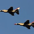Photos: F-16 Thunderbirds CTS飛来 (3)