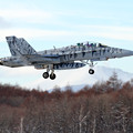 FA-18D WK00 approach